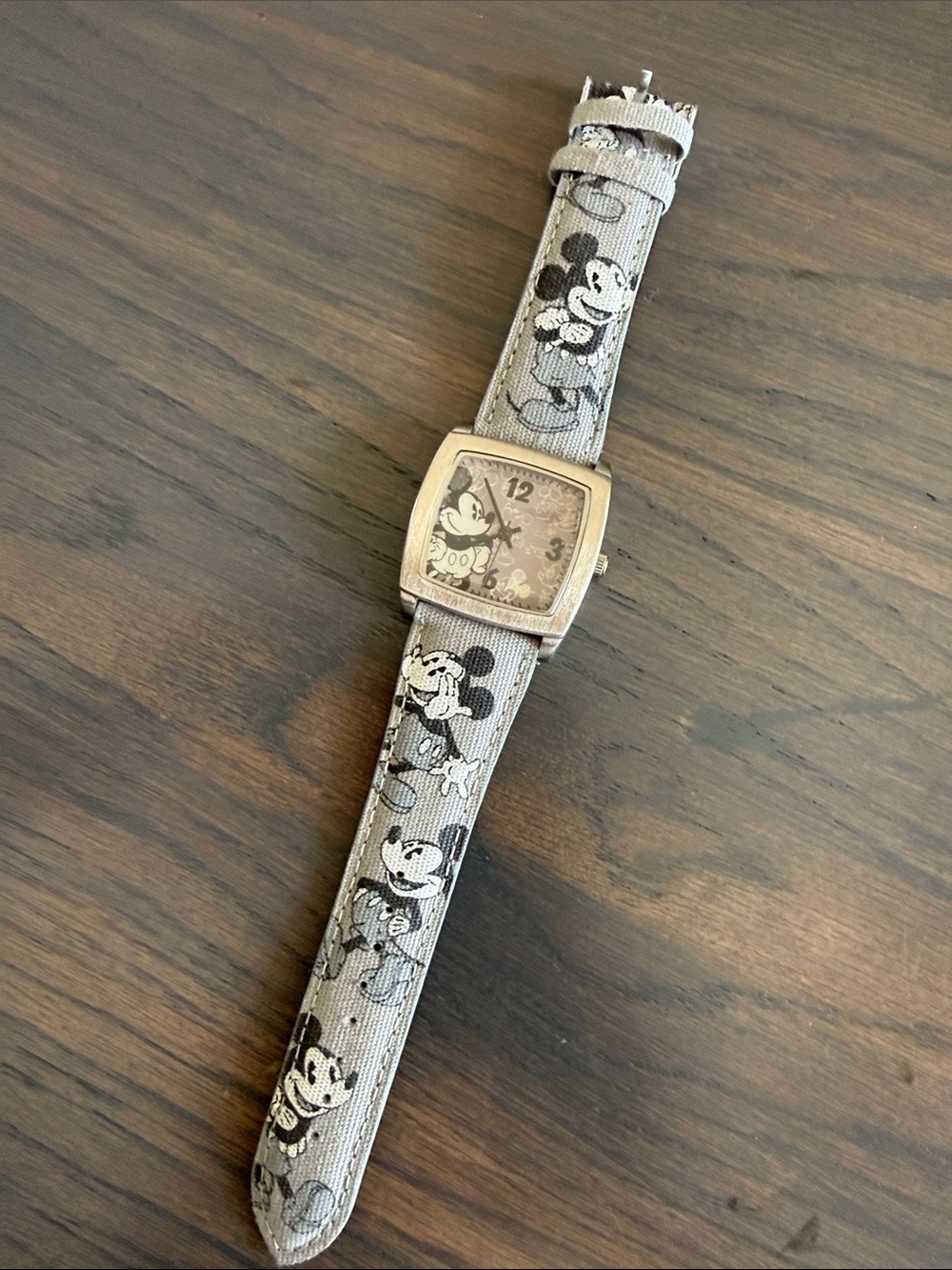 Disney parks watch